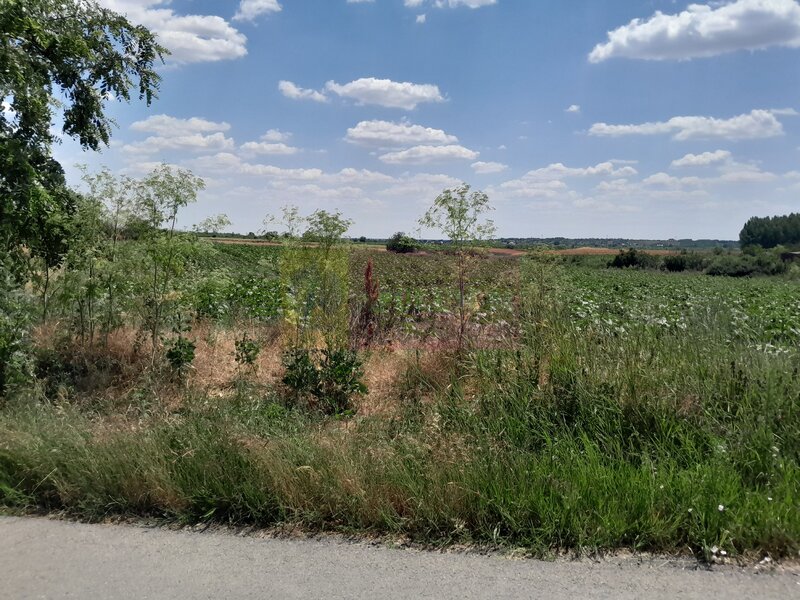 DE VANZARE 2 LOTURI LIPITE (TOTAL 16.500 MP) IN SAT TEISORI (GR)