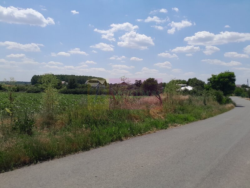 DE VANZARE 2 LOTURI LIPITE (TOTAL 16.500 MP) IN SAT TEISORI (GR)