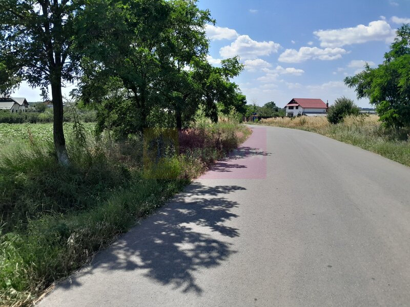 DE VANZARE 2 LOTURI LIPITE (TOTAL 16.500 MP) IN SAT TEISORI (GR)