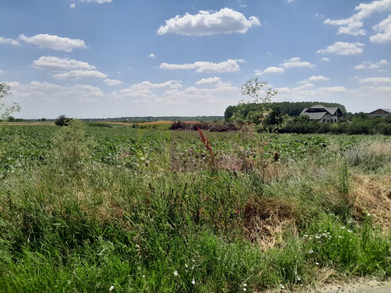 DE VANZARE 2 LOTURI LIPITE (TOTAL 16.500 MP) IN SAT TEISORI (GR)