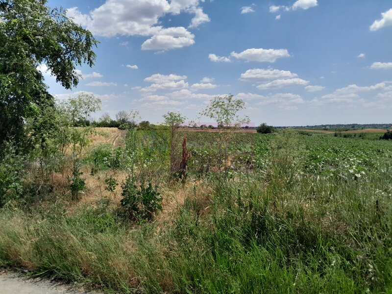 DE VANZARE 2 LOTURI LIPITE (TOTAL 16.500 MP) IN SAT TEISORI (GR)