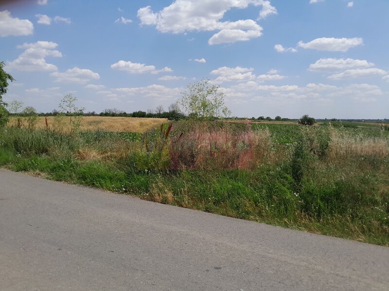 DE VANZARE 2 LOTURI LIPITE (TOTAL 16.500 MP) IN SAT TEISORI (GR)