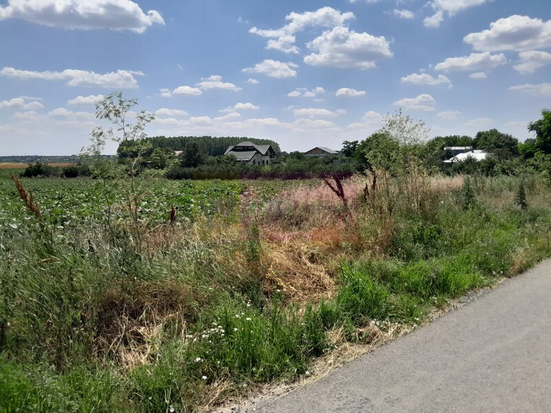 DE VANZARE 2 LOTURI LIPITE (TOTAL 16.500 MP) IN SAT TEISORI (GR)