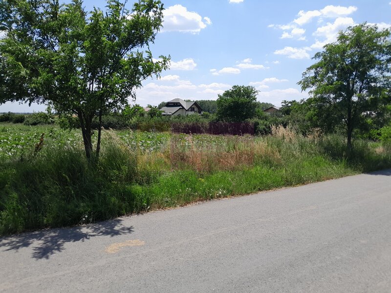 DE VANZARE 2 LOTURI LIPITE (TOTAL 16.500 MP) IN SAT TEISORI (GR)