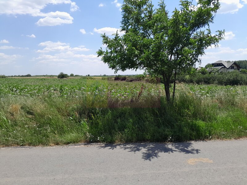 DE VANZARE 2 LOTURI LIPITE (TOTAL 16.500 MP) IN SAT TEISORI (GR)