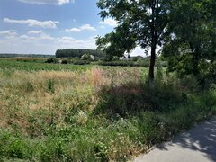 DE VANZARE 2 LOTURI LIPITE (TOTAL 16.500 MP) IN SAT TEISORI (GR)